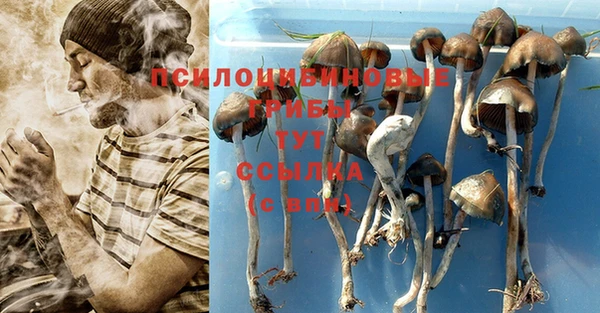 Альфа ПВП Алексин